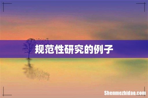 规范性研究的例子