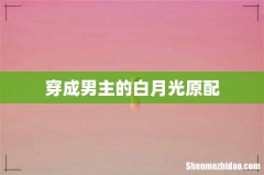 穿成男主的白月光原配