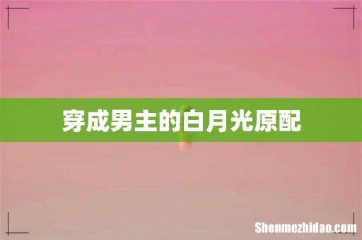 穿成男主的白月光原配