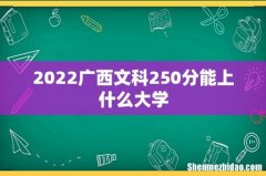 2022广西文科250分能上什么大学