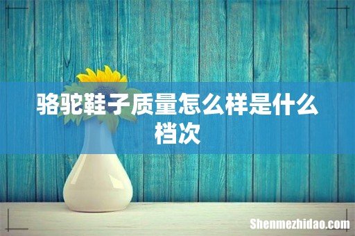 骆驼鞋子质量怎么样是什么档次