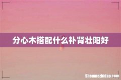 分心木搭配什么补肾壮阳好