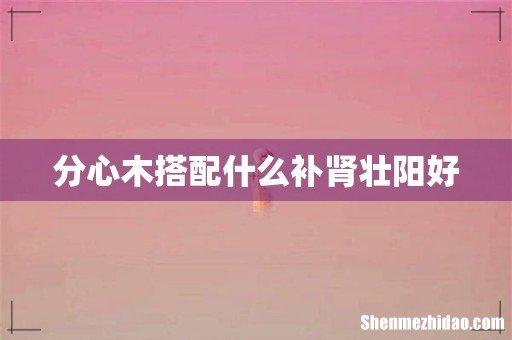 分心木搭配什么补肾壮阳好