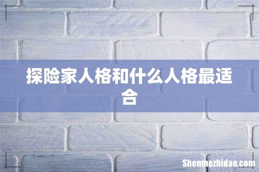 探险家人格和什么人格最适合