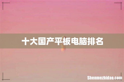 十大国产平板电脑排名