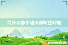 为什么都不建议养阿拉斯加