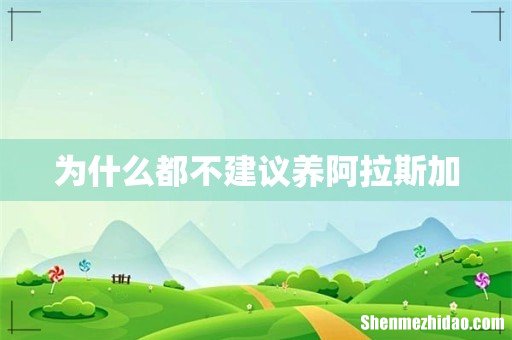 为什么都不建议养阿拉斯加