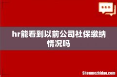 hr能看到以前公司社保缴纳情况吗