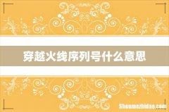穿越火线序列号什么意思