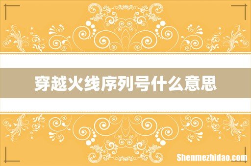 穿越火线序列号什么意思
