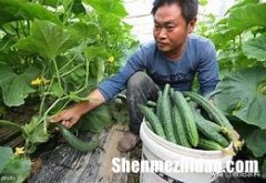 高锰酸钾熏多久 高锰酸钾溶液熏洗时多少温度