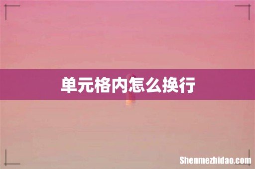 单元格内怎么换行