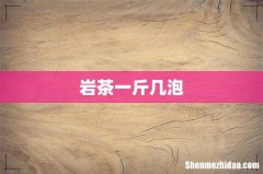 岩茶一斤几泡