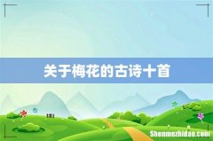 关于梅花的古诗十首