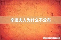 辛追夫人为什么不公布