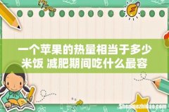 一个苹果的热量相当于多少米饭 减肥期间吃什么最容易瘦