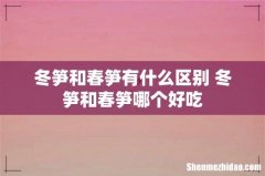 冬笋和春笋有什么区别 冬笋和春笋哪个好吃