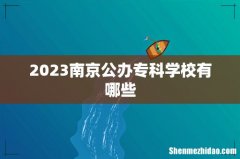 2023南京公办专科学校有哪些