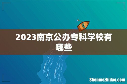 2023南京公办专科学校有哪些