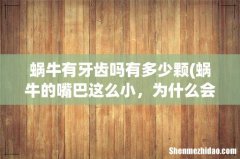 蜗牛的嘴巴这么小，为什么会有这么多牙齿？ 蜗牛有牙齿吗有多少颗