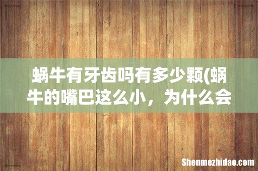 蜗牛的嘴巴这么小，为什么会有这么多牙齿？ 蜗牛有牙齿吗有多少颗