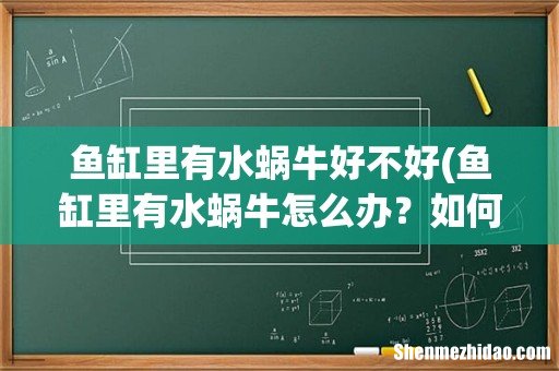 鱼缸里有水蜗牛怎么办?如何解决? 鱼缸里有水蜗牛好不好