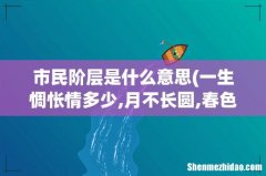 一生惆怅情多少,月不长圆,春色易为老.是什么意思？ 市民阶层是什么意思
