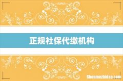 正规社保代缴机构