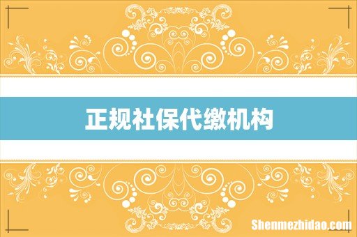 正规社保代缴机构
