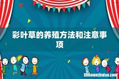 彩叶草的养殖方法和注意事项