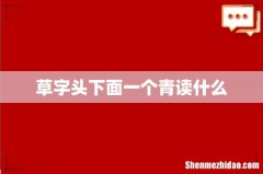 草字头下面一个青读什么
