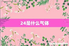 24是什么气体