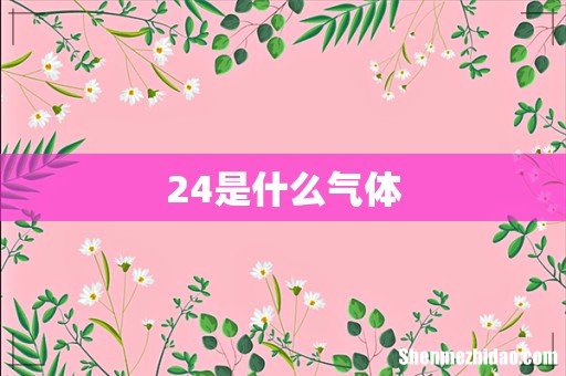 24是什么气体