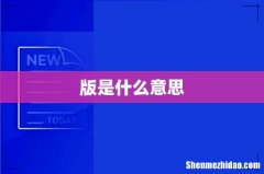 版是什么意思