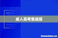 成人高考查成绩