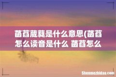 菡萏怎么读音是什么 菡萏怎么读 菡萏葳蕤是什么意思