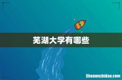 芜湖大学有哪些