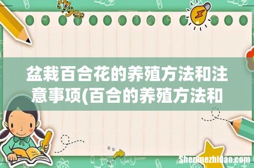 百合的养殖方法和注意事项 盆栽 盆栽百合花的养殖方法和注意事项