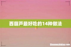 西葫芦最好吃的14种做法