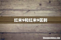 红米9和红米9区别