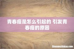 青春痘是怎么引起的 引发青春痘的原因