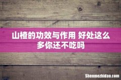 山楂的功效与作用 好处这么多你还不吃吗