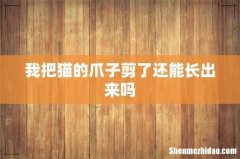 我把猫的爪子剪了还能长出来吗