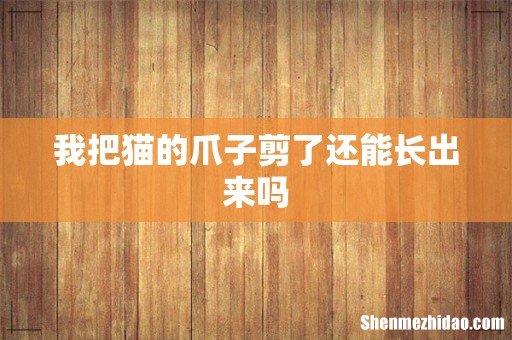 我把猫的爪子剪了还能长出来吗