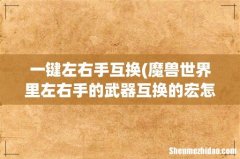 魔兽世界里左右手的武器互换的宏怎么编写？ 一键左右手互换
