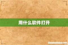 用什么软件打开
