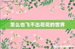 怎么也飞不出花花的世界