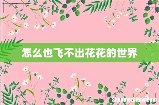 怎么也飞不出花花的世界