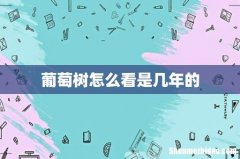 葡萄树怎么看是几年的