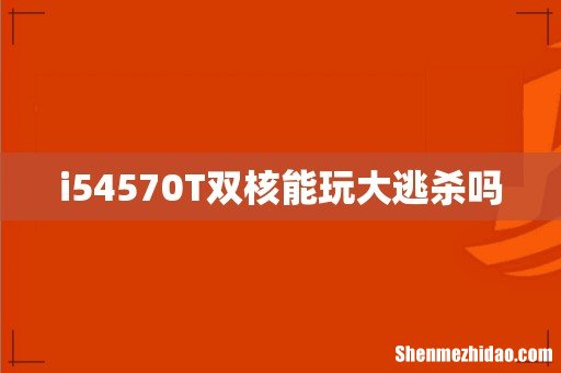 i54570T双核能玩大逃杀吗